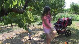 preview picture of video 'Cranes UPick Picking Peaches and Raspberries August 21 2013'
