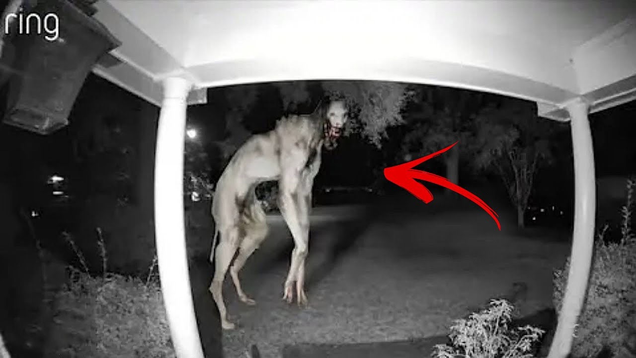 5 VIDEO SPAVENTOSI CHE NESSUNO VUOLE GUARDARE