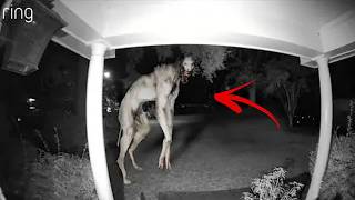 5 VIDEO SPAVENTOSI CHE NESSUNO VUOLE GUARDARE