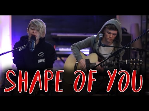 Ed Sheeran - Shape Of You (Bars and Melody Cover)