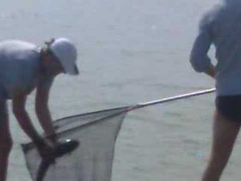 pescuit pe oltina la mistho