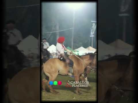 Festival de Jineteada en #cruzalta  🇦🇷 #CaballosyPlaceres