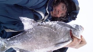 Ловля леща в карелии зимой