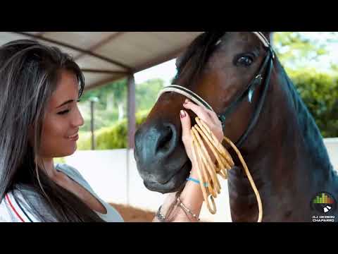 Soy Guerrero (Remix Extended) - Francisco Gómez Ft. DJ Deison Chaparro (2025)