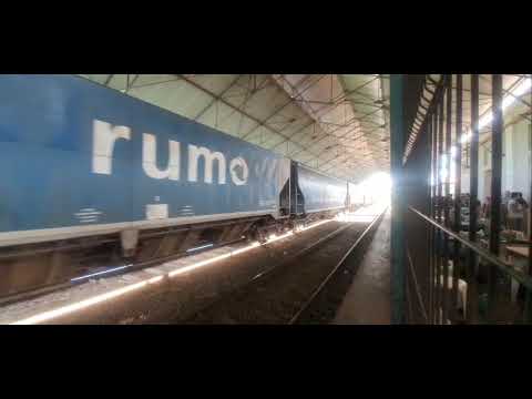 Estação Ferroviária de Limeira - SP, em 12/11/23.