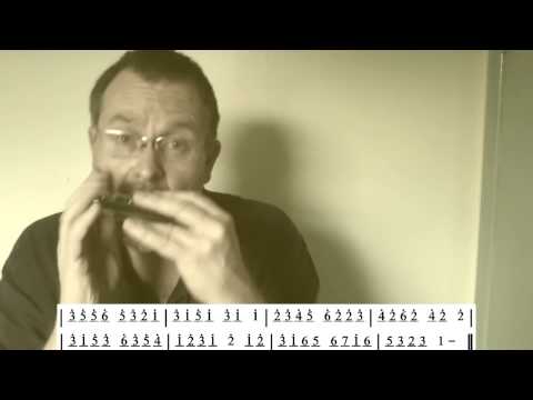 IRISH HARMONICA LESSON - 'The Maid Behind the Bar' - Brendan Power