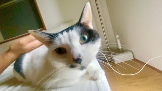 朝起床したら隣にいてくれる彼女みたいなうめ