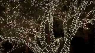 Merry Christmas Everybody.Connie Talbot.