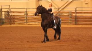 Dag Dia at the 2016 MHC Horse Expo video