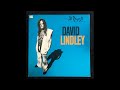 David Lindley - Ain't No Way (Fan Video)