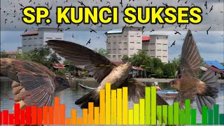 Download lagu SP. KUNCI SUKSES || Suara Walet Lulus Uji Coba, Lengkap SP, SI   ST mp3