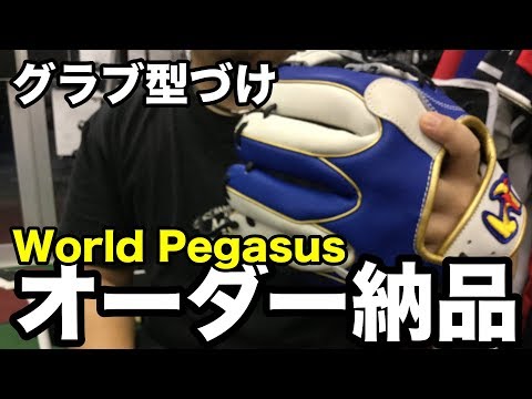 オーダーグラブ型付け World Pegasus (Break-in) #1744 Video