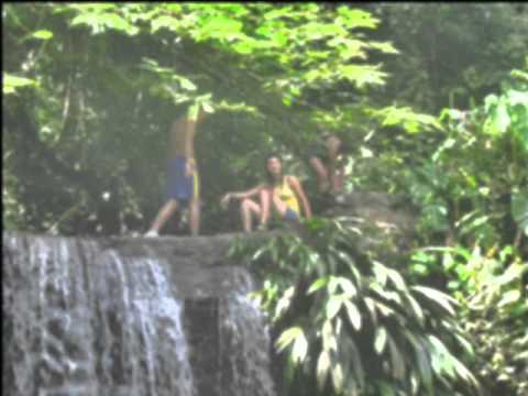 CARLOS X 100 PRE.wmv