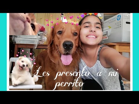 Les presento a mi perrito 🐶Rocky ❤️/María Cristina