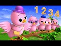 5 Little Birds More Nursery Rhymes Kids Songs ABCs And 123s