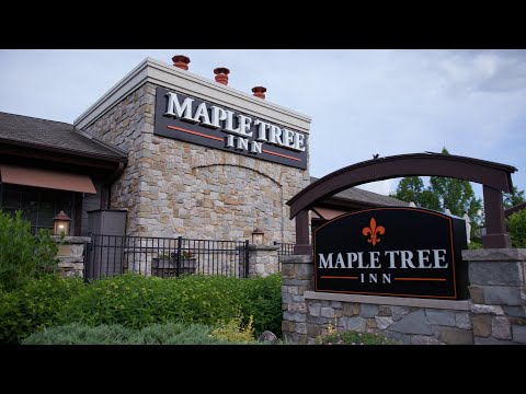 ‘The Bear gets a lot right;’ Maple Tree Inn owner identifies with characters in FX drama series