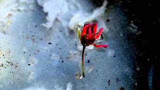 Luna de Abril - Carlos Cano