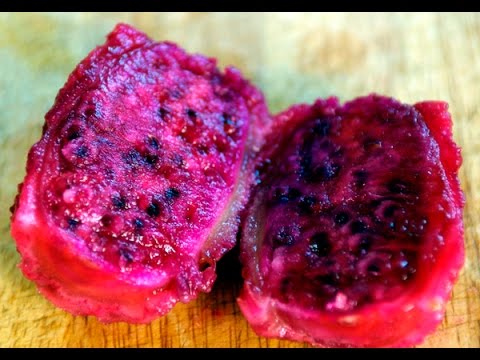How to cut and Eat Cactus Fruit (Prickly Pear)