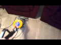 Dyson Ball Multifloor Vs Dc47 Animal Canister