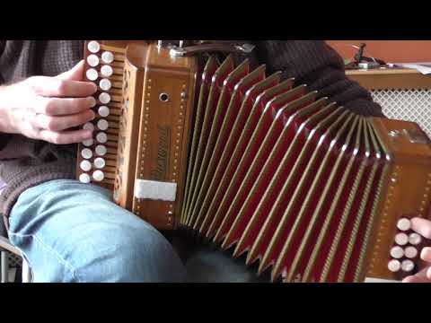 Guinness Waltz - Anahata, melodeon