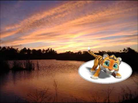 tiger boo song FULL VERSION WITH LYRICS!!!