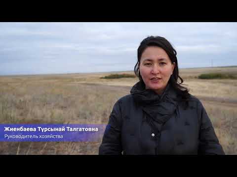 Участник 9057, z19zdQSIe9A