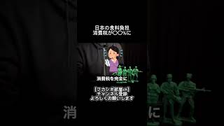 日本の食料品税率が軽減？#自民党#高市早苗#消費税#ニュース#解説