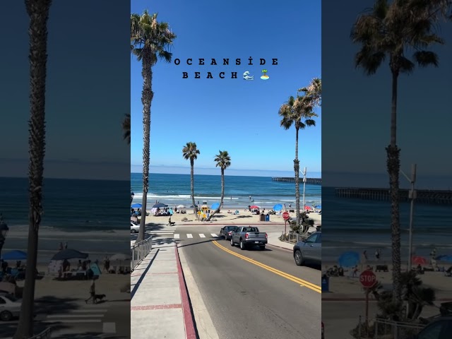 Vídeo relacionado con Oceanside Beach Palmeras California Vacation Ocean Camiseta