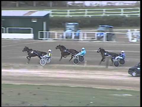 Trotto 26/10/2014 - 2° prova di qualifica