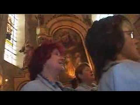 Foerstrovy Osenice 2008