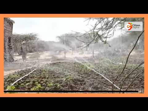 Wakulima washauriwa kutumia mashine katika kilimo