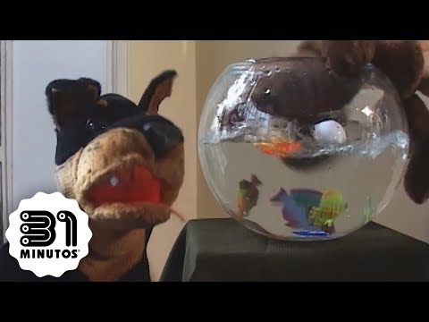 Video thumbnail for Doggy Style
