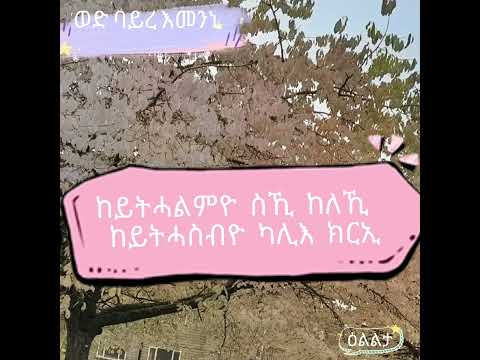 solomon bayre emenni lyrics (ወድ ባይረ እመንኒ)