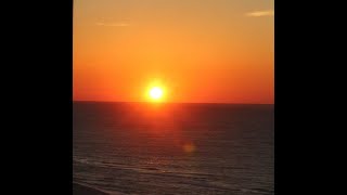 Grounding Sanctuary - A Guided Yoga Nidra Meditation with Steve Wolf E-RYT 500