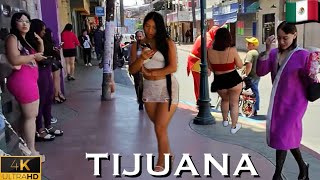 Tijuana Street Walk – From Zona Norte to Centro’s Bustling Vendors
