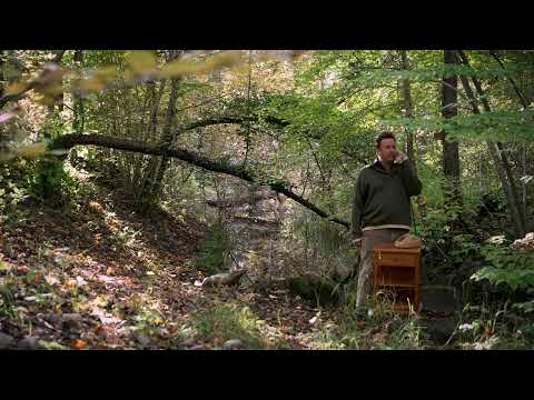 Matto Kämpf | Am Apparat #03