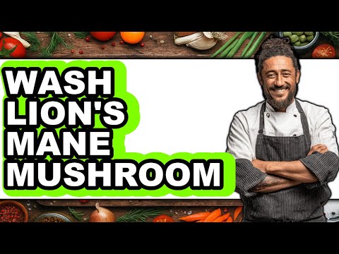 How To Wash Lion's Mane Mushroom - Full Guide