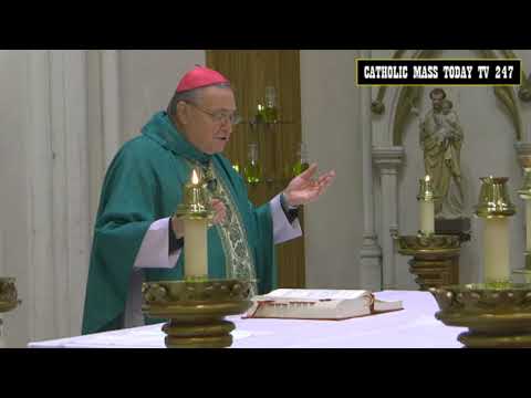 Catholic Mass Today - Daily Mass Today - Friday, November 05 2021