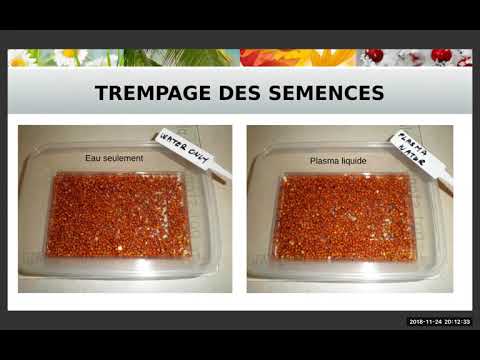 2018 11 24 PM Public Teaching in French - Enseignements publics en français