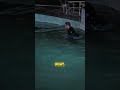 James Bond was Almost Shark Food