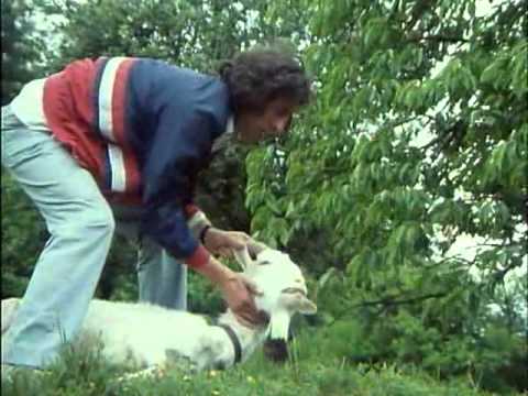 Részlet az Örökség cimü filmből