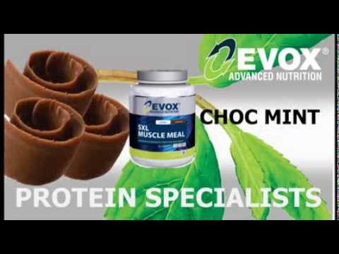 Evox 5XL Muscle Meal still our top Hi Protein Meal replacement