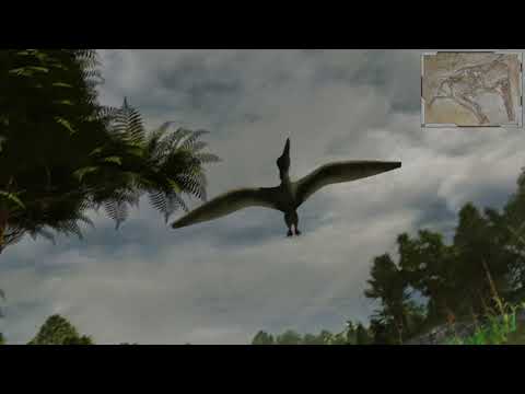 Wie entstehen Versteinerungen / Fossilien - ein virtueller Rundflug durch die Lagunen von Solnhofen