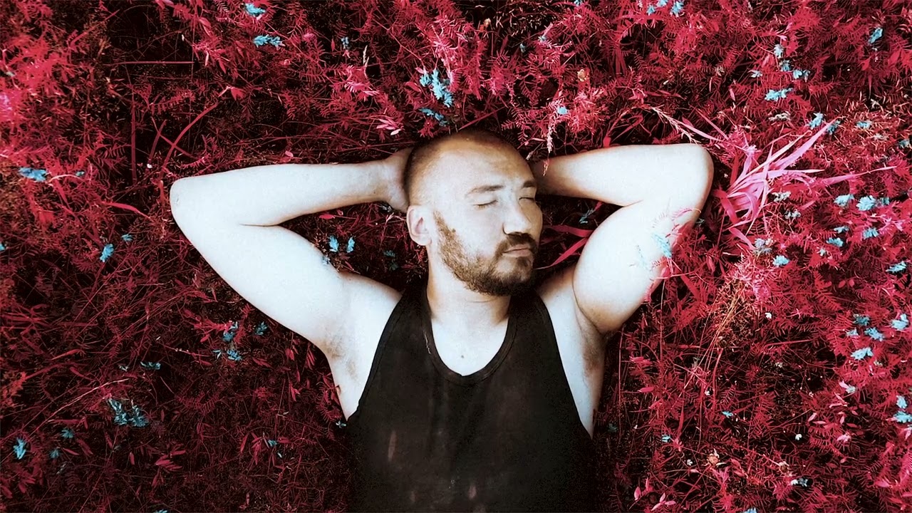 Бранимир — Шофёр