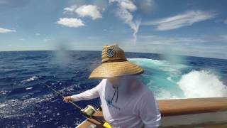 Let It Ride Blue Marlin