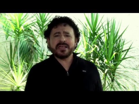 Briga À Toa - Jorge de Altinho