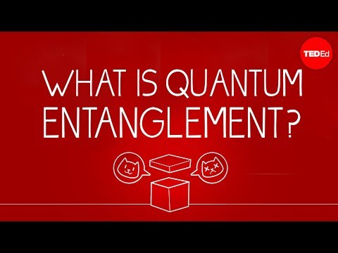 What can Schrödinger's cat teach us about quantum mechanics? - Josh Samani