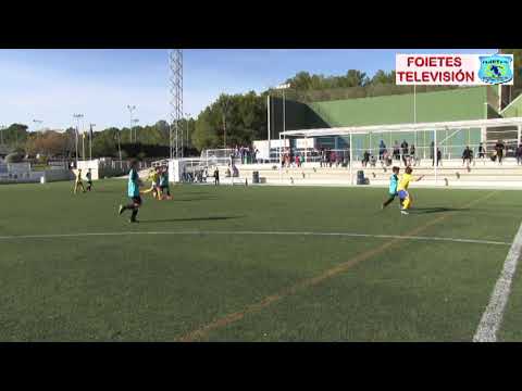 ALEVIN A FOIETES  -  CALLOSA B