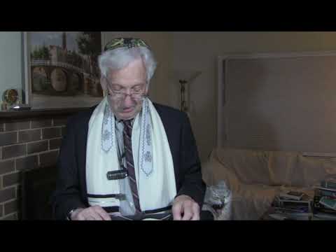 Erev Rosh Hashonah 2020 with ZackThe Cat