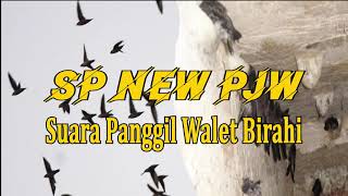 Download lagu SP NEW PJW, SUARA PANGGIL WALET SANGAT CEPAT MENGINAPKAN BURUNG WALET 2024 mp3